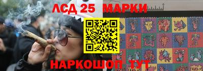 mdpv Шелехов