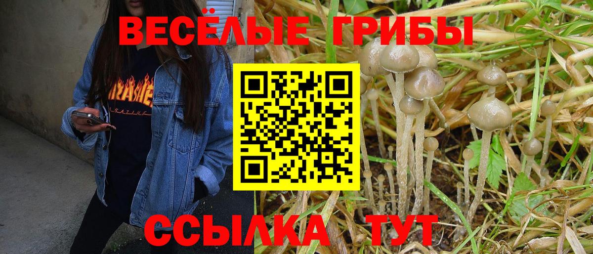 Галлюциногенные грибы GOLDEN TEACHER  Вход с VPN  Топки 